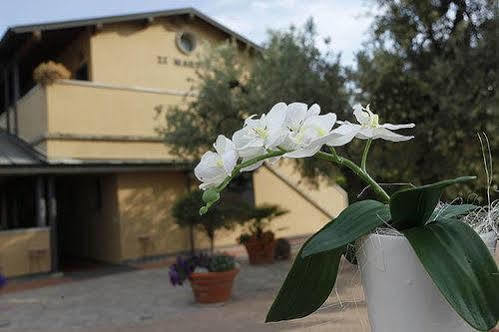 Zi Martino Hotel Castagneto Carducci